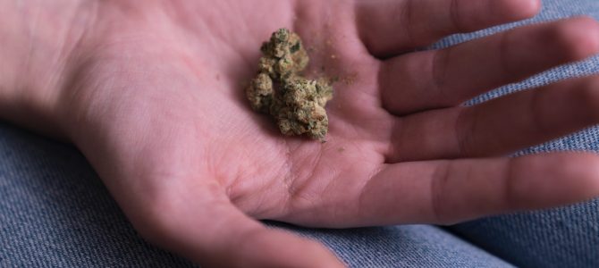 Medical vs Recreational Prices: How Much Should You Pay for Cannabis?