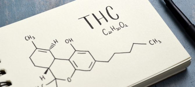 Two Sides of the Same Coin: The Difference Between THC and CBD